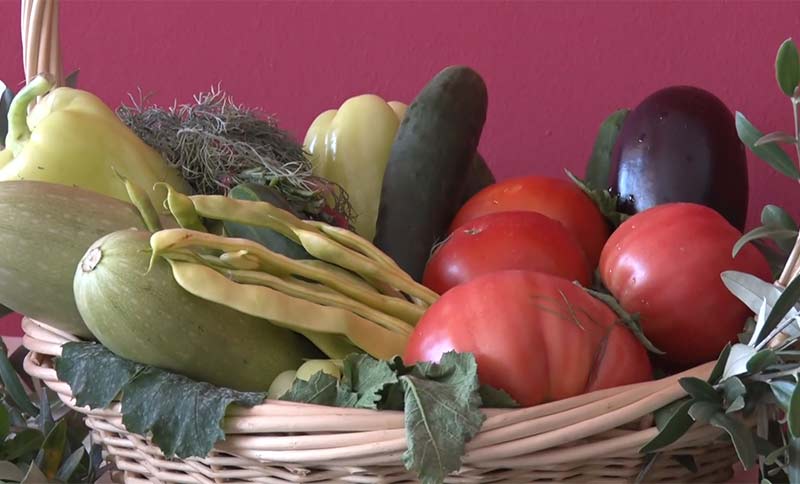 ogledna basta prezentacija projekta03