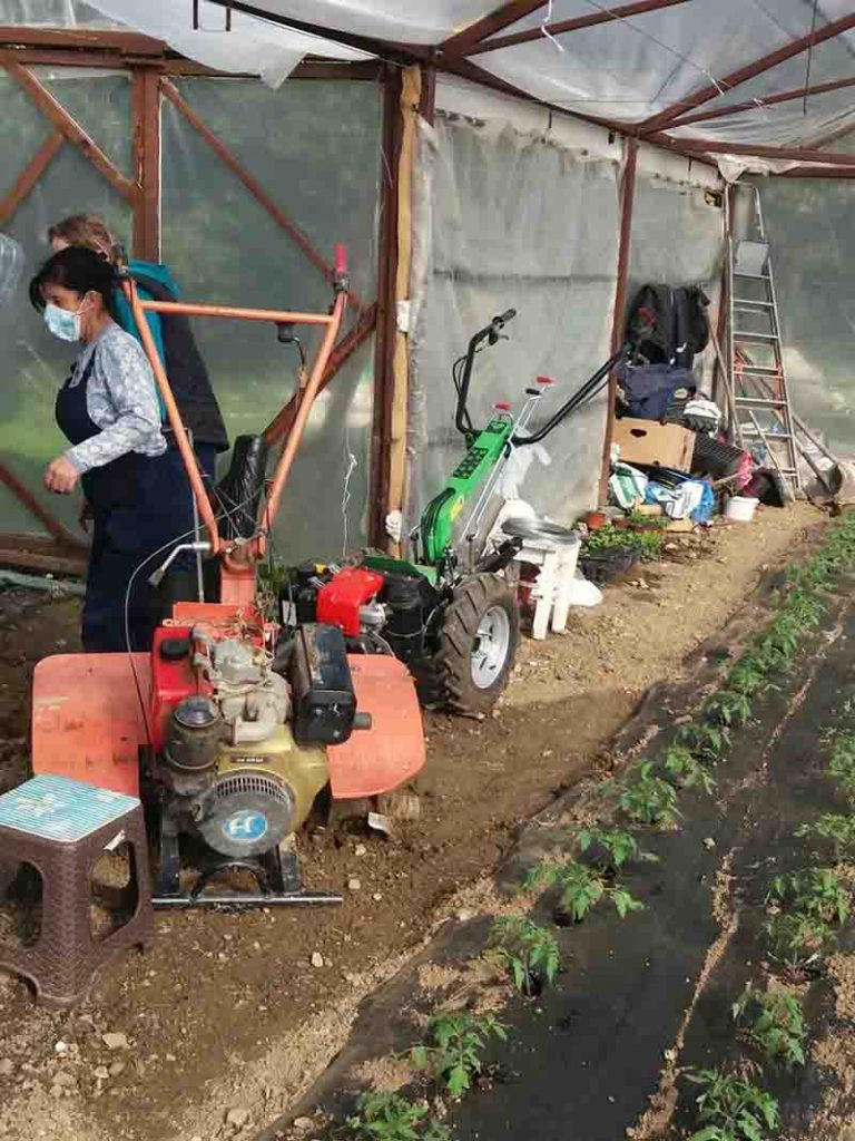 ogledna bašta 768x1024